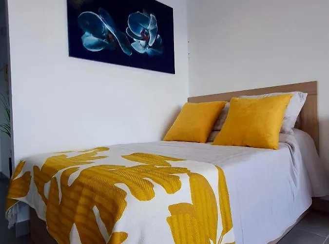 Apartamento de 1 Dormitorio